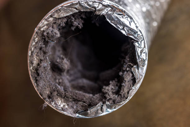 Best Dryer Vent Cleaning Services  in Chula Vista, TX