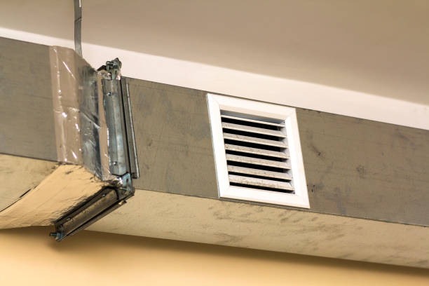 Best Affordable Duct Cleaning Services  in Chula Vista, TX